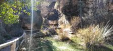 IMG_20231226_123223.jpg