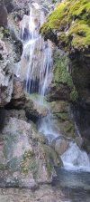 IMG_20231226_124753.jpg