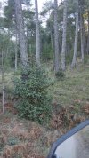 IMG-20231226-WA0137.jpeg