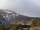 IMG_20231230_140603_1.jpg