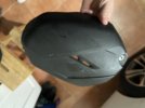 IMG_0981.jpeg
