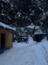 IMG_5577.jpg