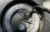 depositogasolina.jpg depositogasolina.jpg