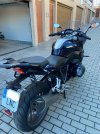IMG_0717 Mediano.jpeg