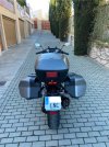IMG_0724 Mediano.jpeg