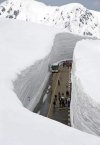 IMG-20240112-WA0008.jpg