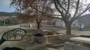 IMG_20240114_164201.jpeg