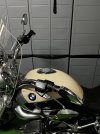 IMG_2571.jpeg