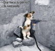 1705509296703.png