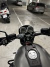 IMG_7061.jpeg IMG_7061.jpeg