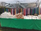 IMG_9689.jpeg