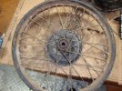 DSC08444.JPG