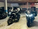 IMG_0133.jpeg