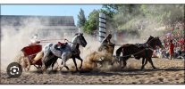 IMG_1037.jpeg
