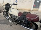 IMG_7024.jpeg