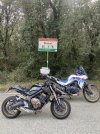 IMG_8195.jpeg