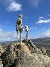 IMG_0222.jpeg