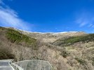 IMG_0401.jpeg