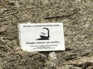 IMG_0422.jpeg