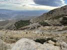 IMG_0417.jpeg