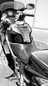 IMG-20240301-WA0019.jpg