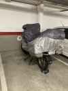 IMG_5175.jpeg