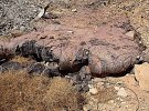 40_coulee_de_lave.jpg