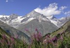 taschalp.jpg