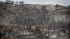 bomberos-centran-incendio-Carcaixent-controlado_EDIIMA20160618_0049_4.jpg