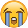 Loudly_Crying_Face_Emoji.jpg