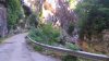 DSC_6591.jpg