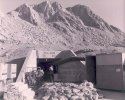 PEDUSSAUT_Alain_20091020_tan_af10.jpg