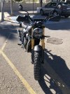 IMG_9006.jpeg