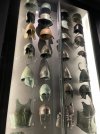 IMG_5790.jpeg