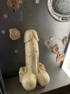 IMG_5793.jpeg