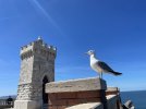 IMG_5884.jpeg
