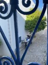 IMG_6026.jpeg