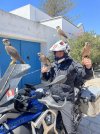IMG_6115.jpeg