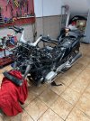 IMG_4329.jpeg