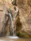 IMG_6889.jpeg