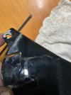 IMG_4367.jpeg