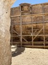 IMG_6994.jpeg