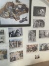 IMG_7162.jpeg