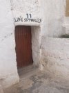 IMG_7191.jpeg