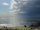 IMG_7322.jpeg