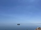 IMG_7408.jpeg