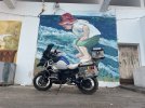 IMG_7741.jpeg