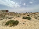 IMG_7775.jpeg
