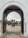 IMG_7984.jpeg