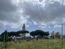 IMG_8065.jpeg